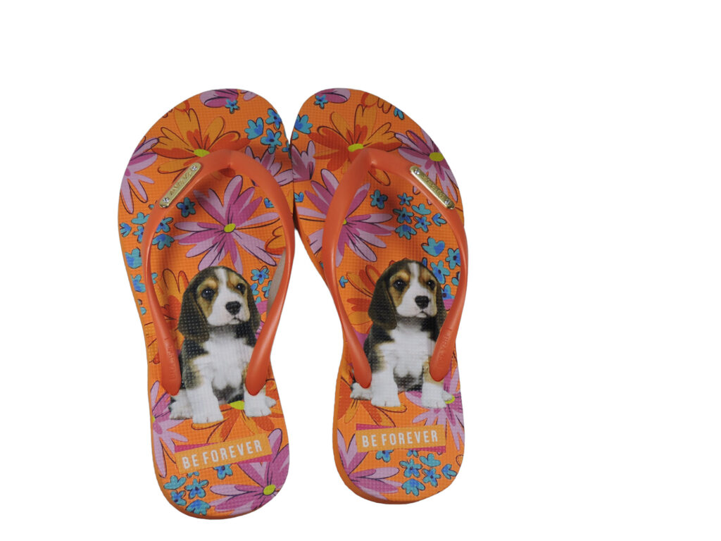 Chinelo BeForever Antiderrapante beagle laranja