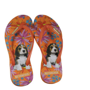 Chinelo BeForever Antiderrapante beagle laranja